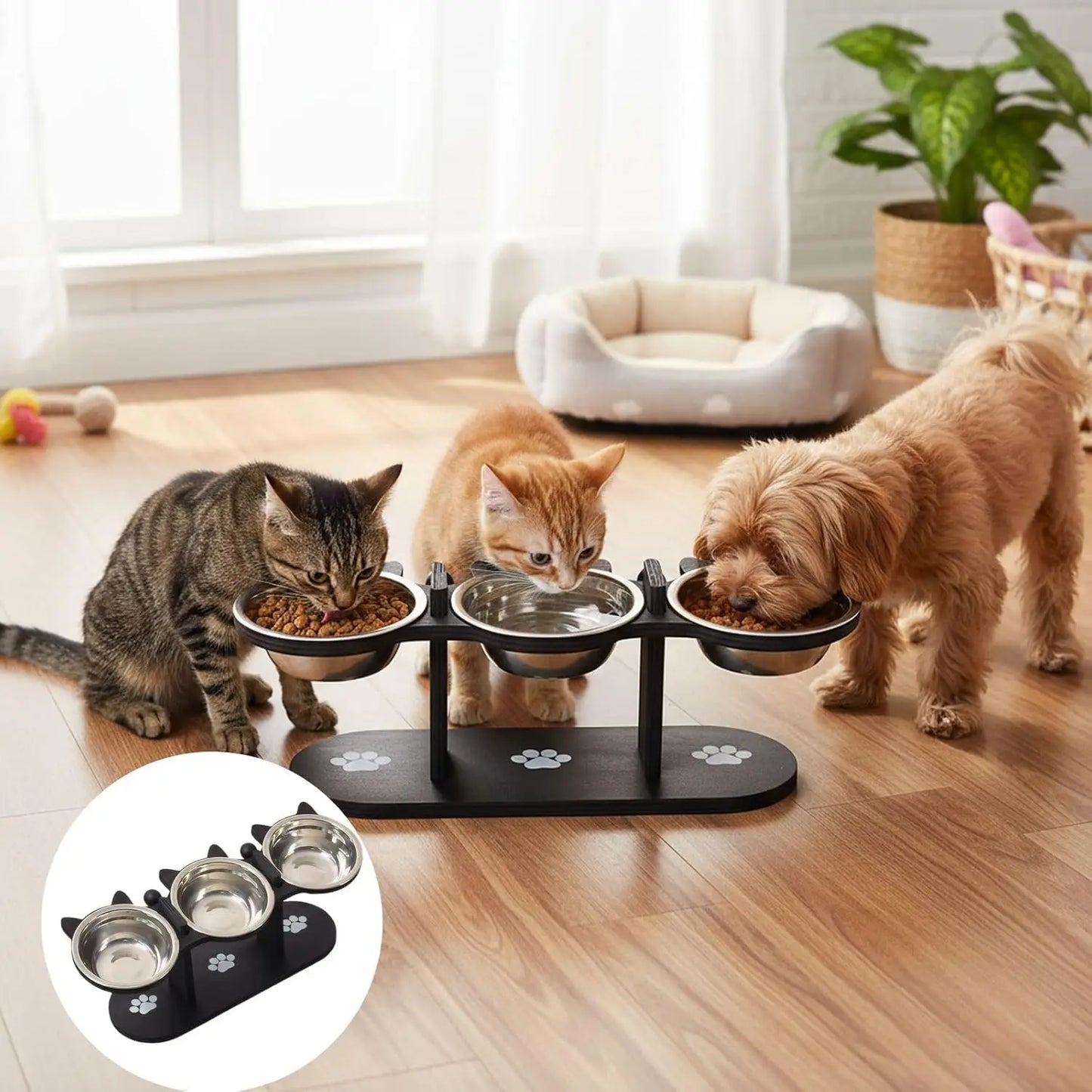 Elevated Cat Food Bowl with Black Wooden Support Frame Stainless Steel Cats Bowls 15° Stand Sloped Feeding & Watering Supplies