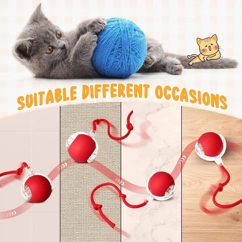 6 Pack Interactive Cat Ball Toy 360° Automatic New Interactive Rolling Ball Rechargeable Gifts for Cat Dog Lovers Indoor Exercis