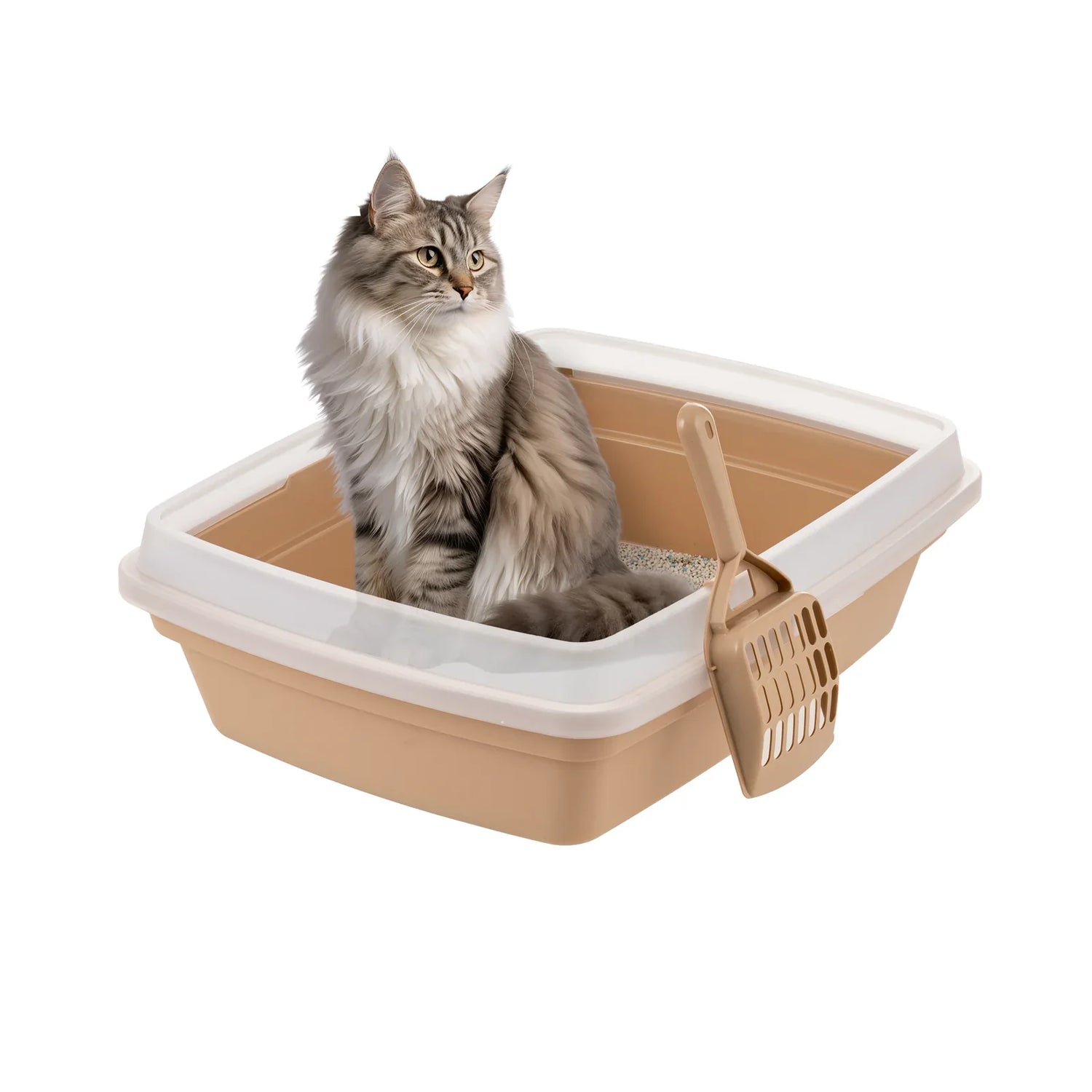 Litter Boxes