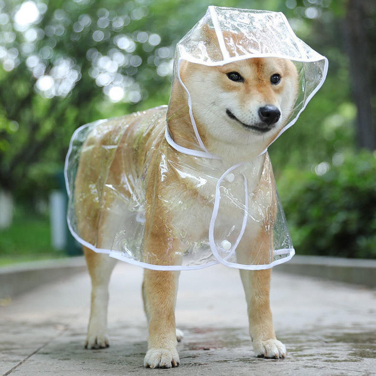Dog Raincoats