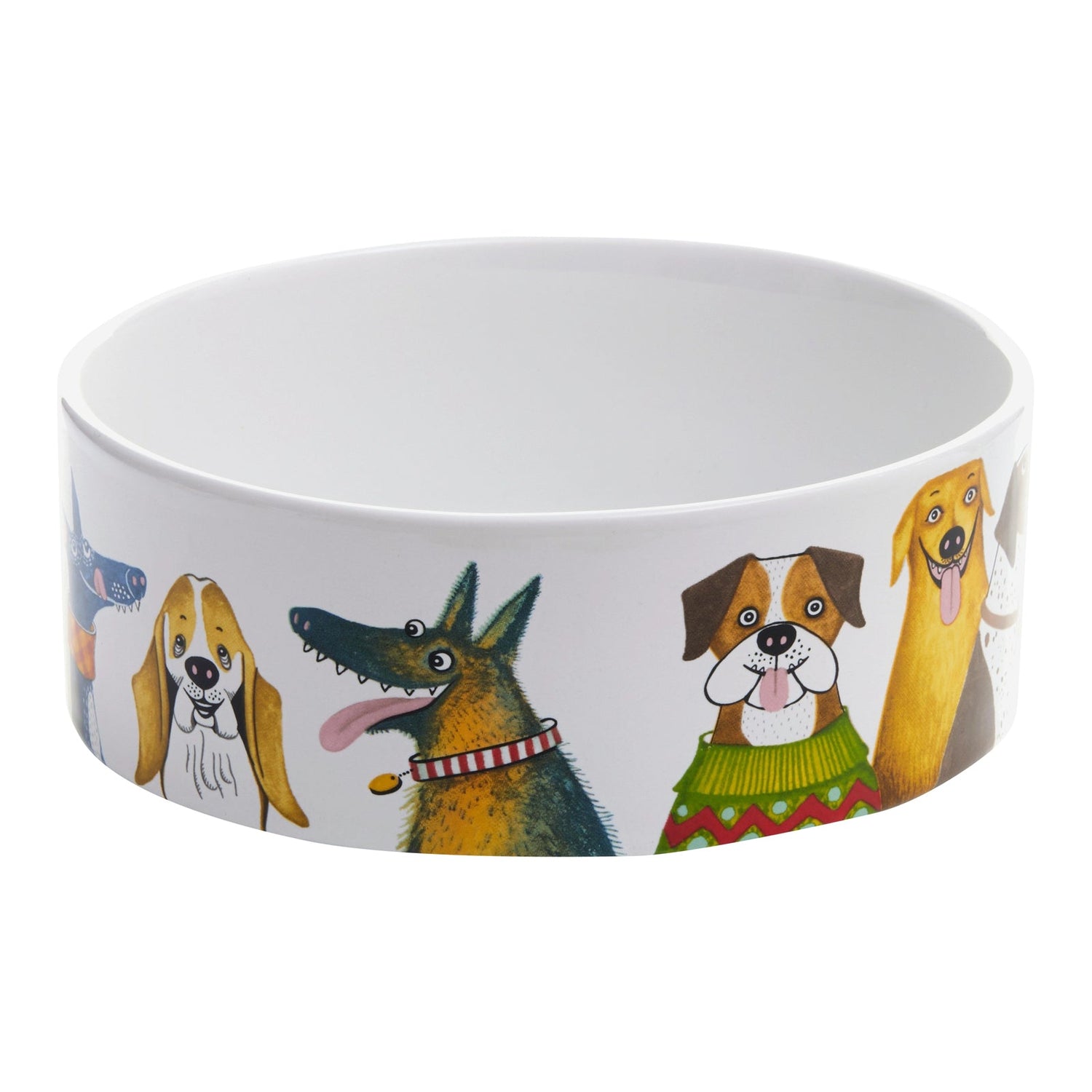Dog Bowls