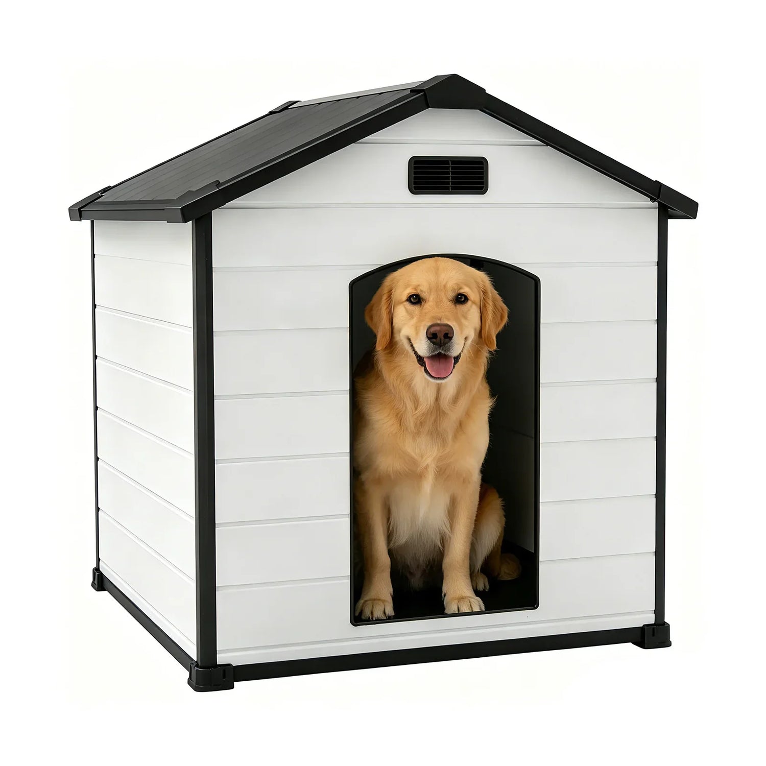 Dog House