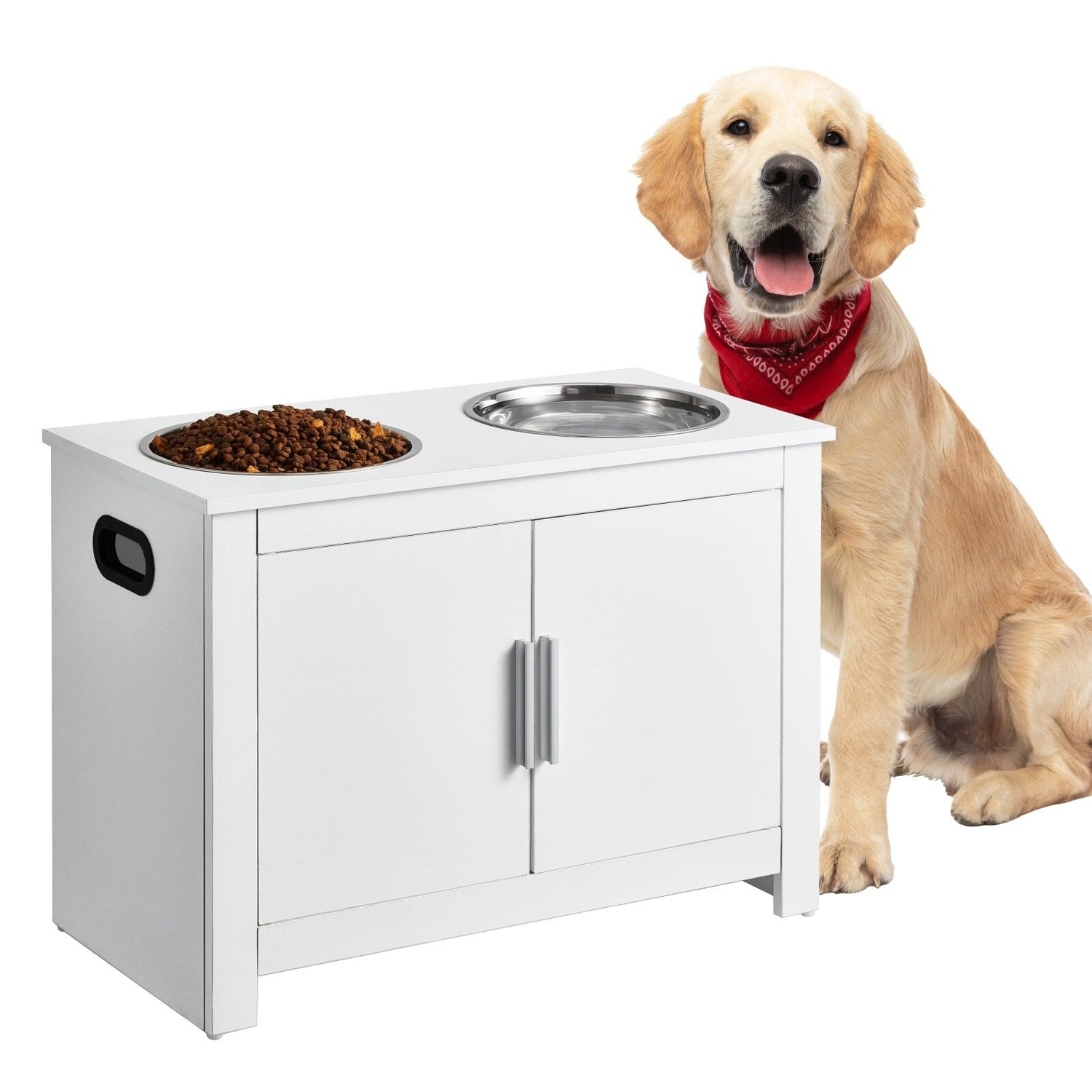 Raised Dog Feeding