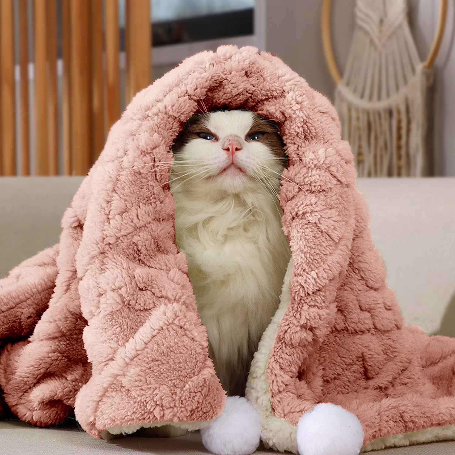 cat blankets