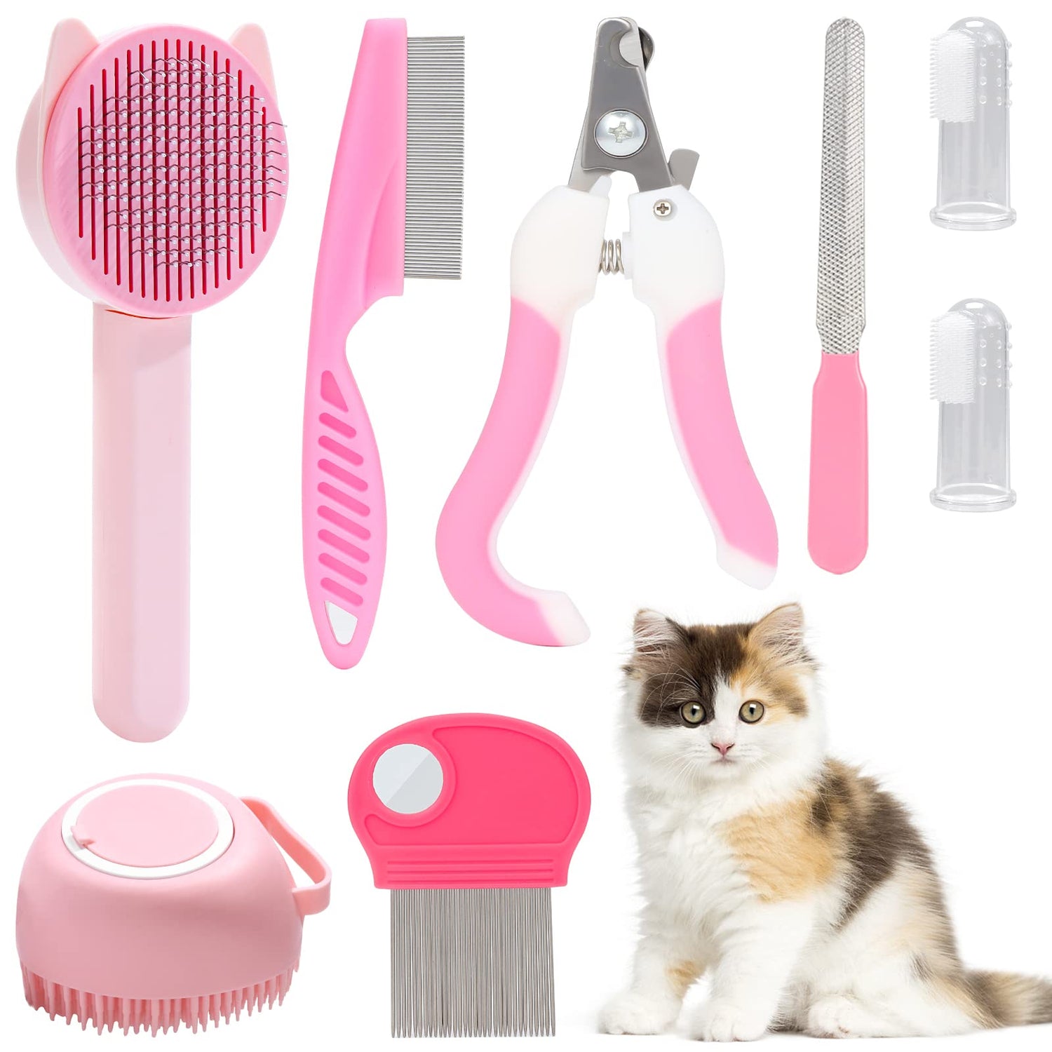 Cat Grooming