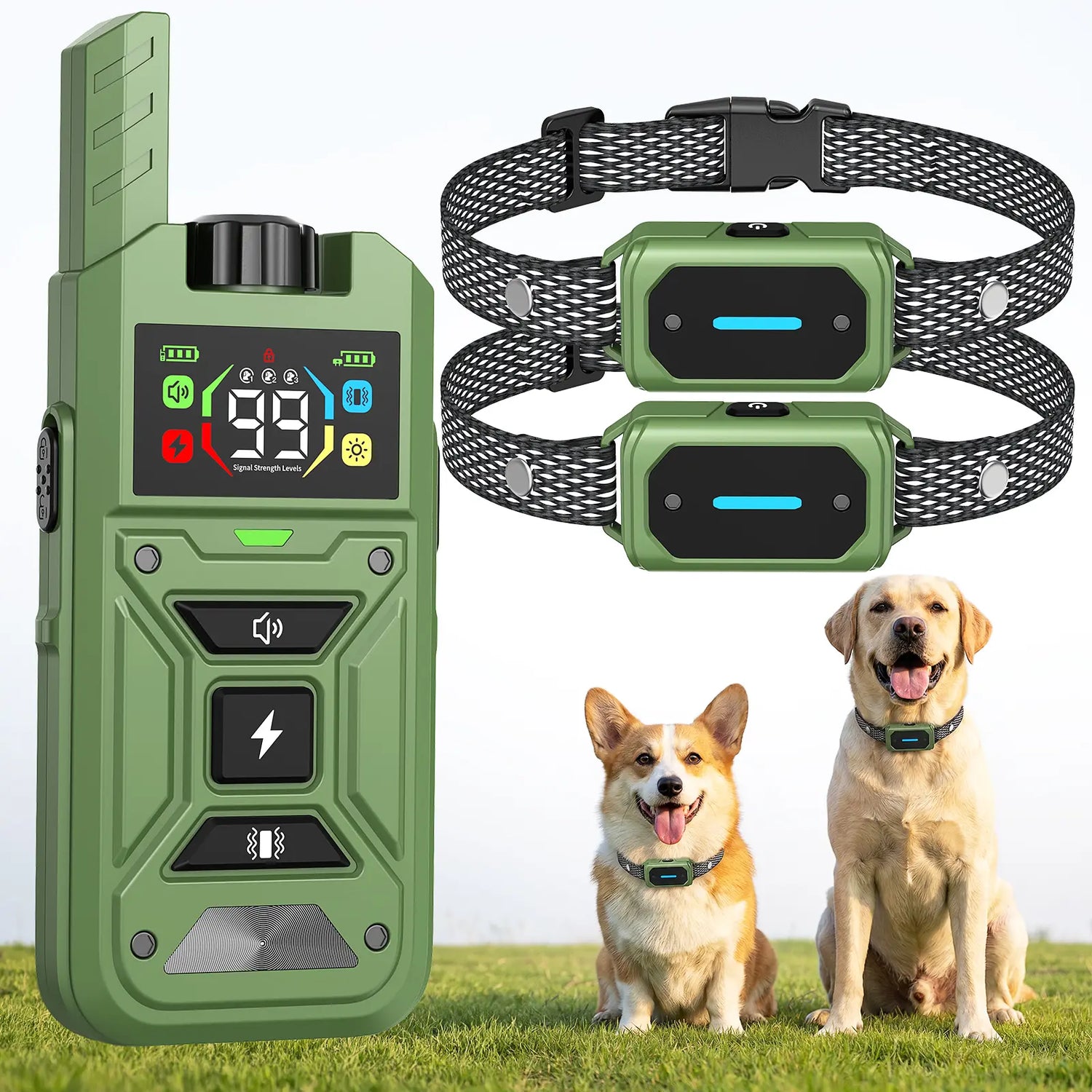 Training Collar