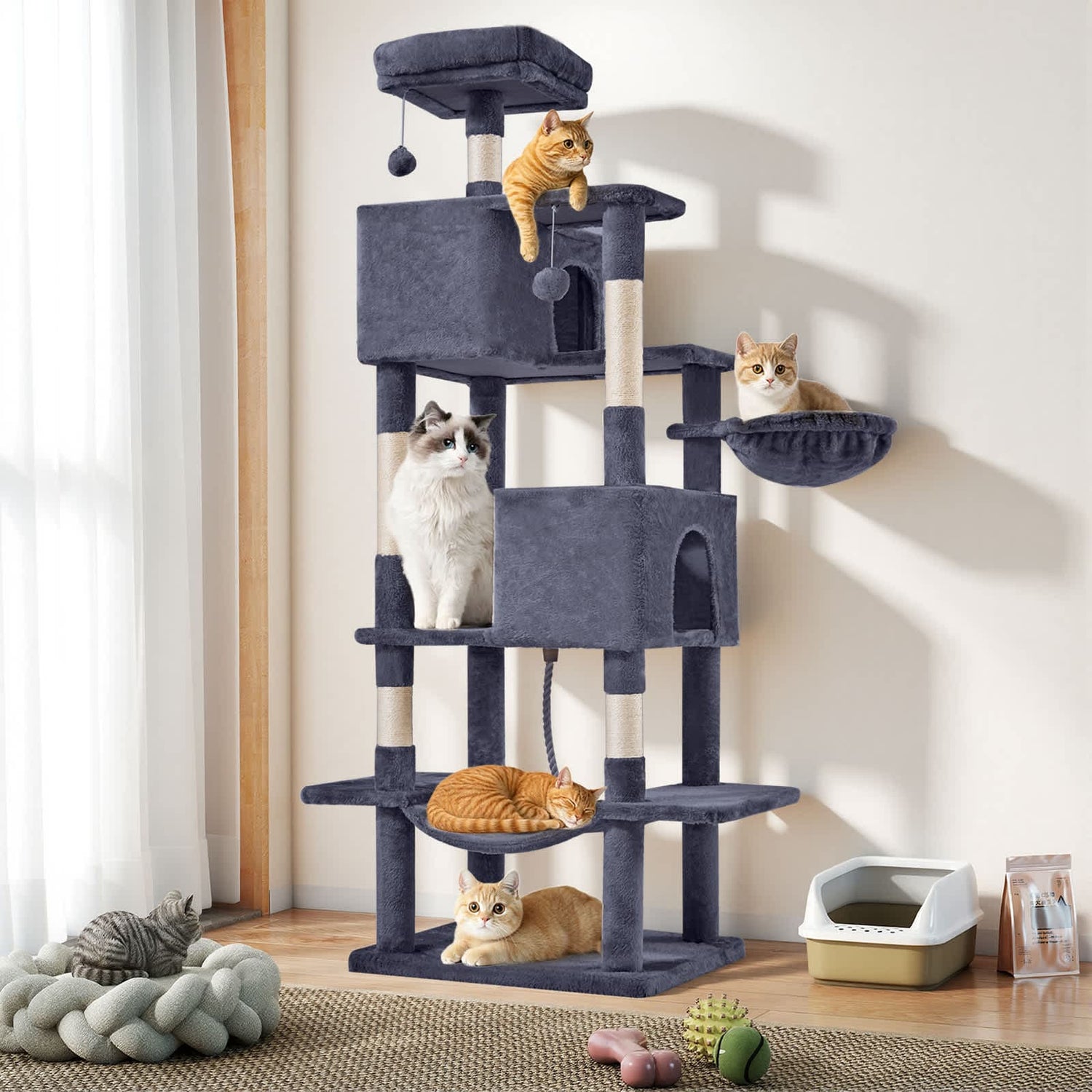 Pet Homes