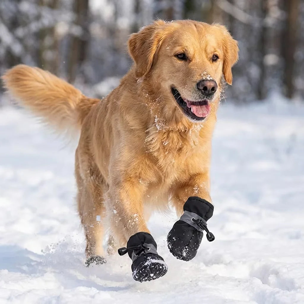 4 Pcs Dog Boots, Waterproof & Warm. Paw Protectors for Small/Medium Dogs, Easy to Put On