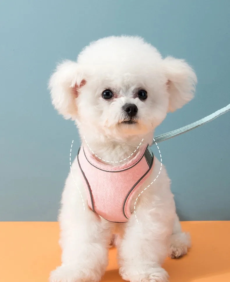 Pet Leash Night Fluoresce Vest Type Cat Universal Chest Harness Dog Chain Dog Supplies Dog Walking Cat Walking Leash Dog Harness