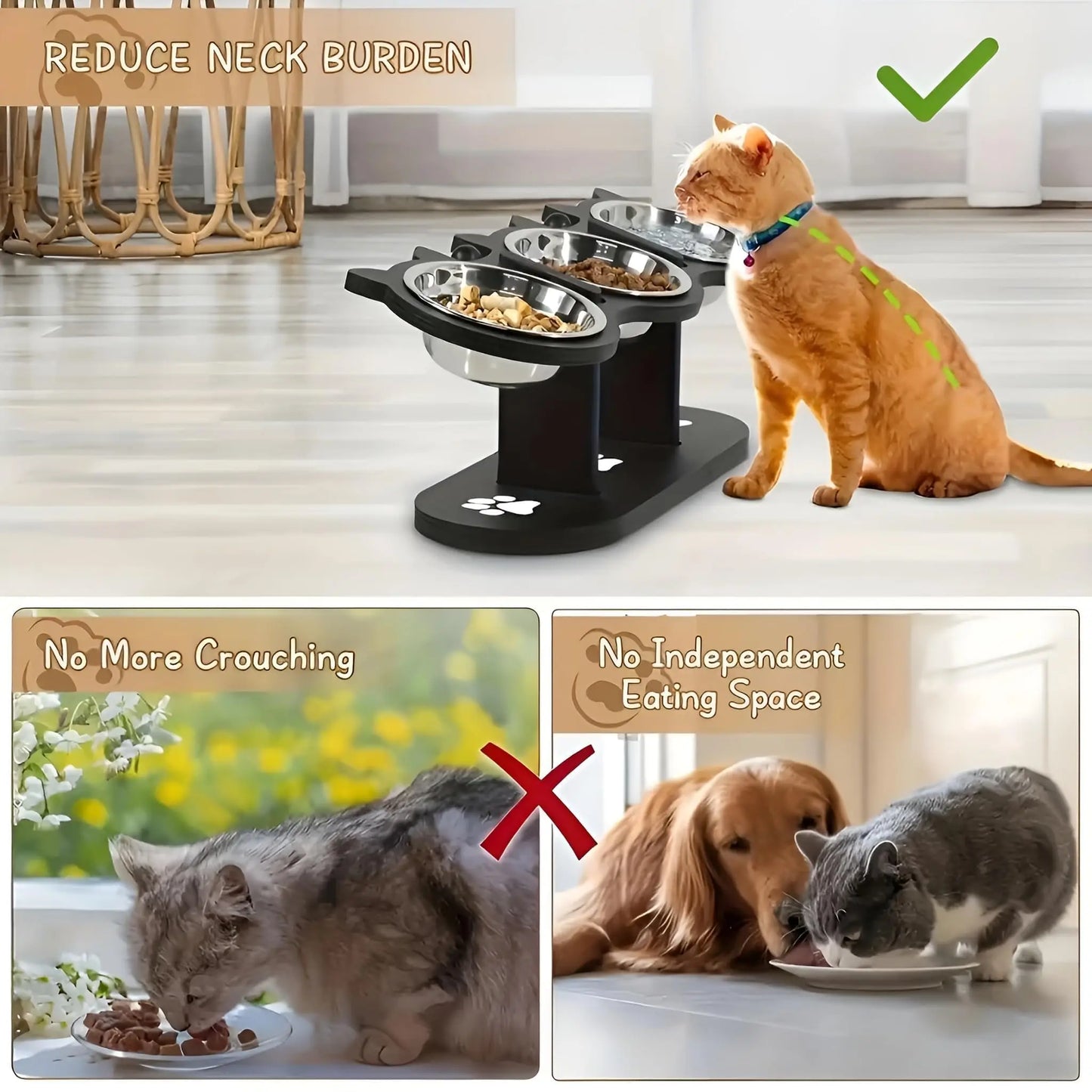 Elevated Cat Food Bowl with Black Wooden Support Frame Stainless Steel Cats Bowls 15° Stand Sloped Feeding & Watering Supplies