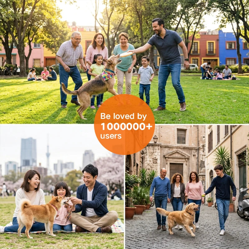 Electric Dog Training Collar Digital Rechargeable Remote Control IPX7 Waterproof Vibrator Pet Dog Bark Stop Shock Collar
