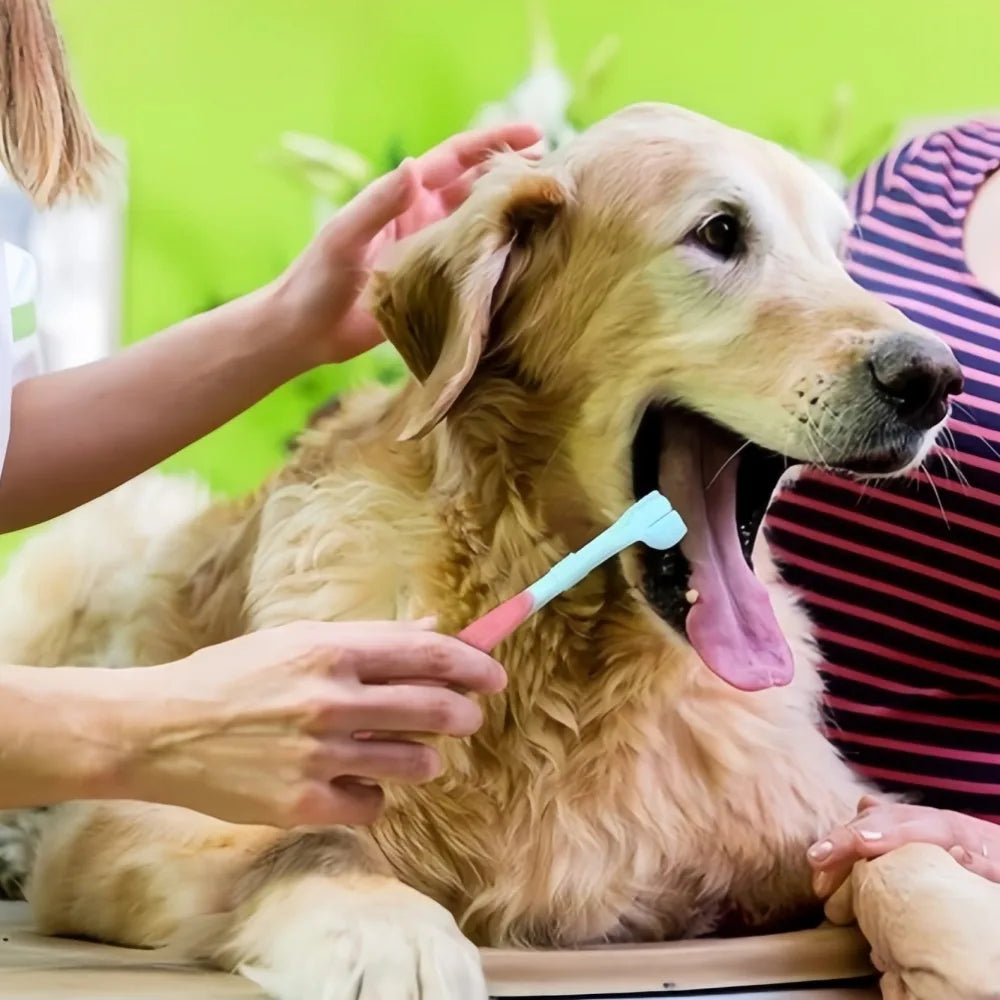3-Sided Pet Toothbrush Dog Plastic Toothbrush Removing Bad Breath Tartar Cleaning Mouth Pet Dental Care Cat Cleaning Mouth