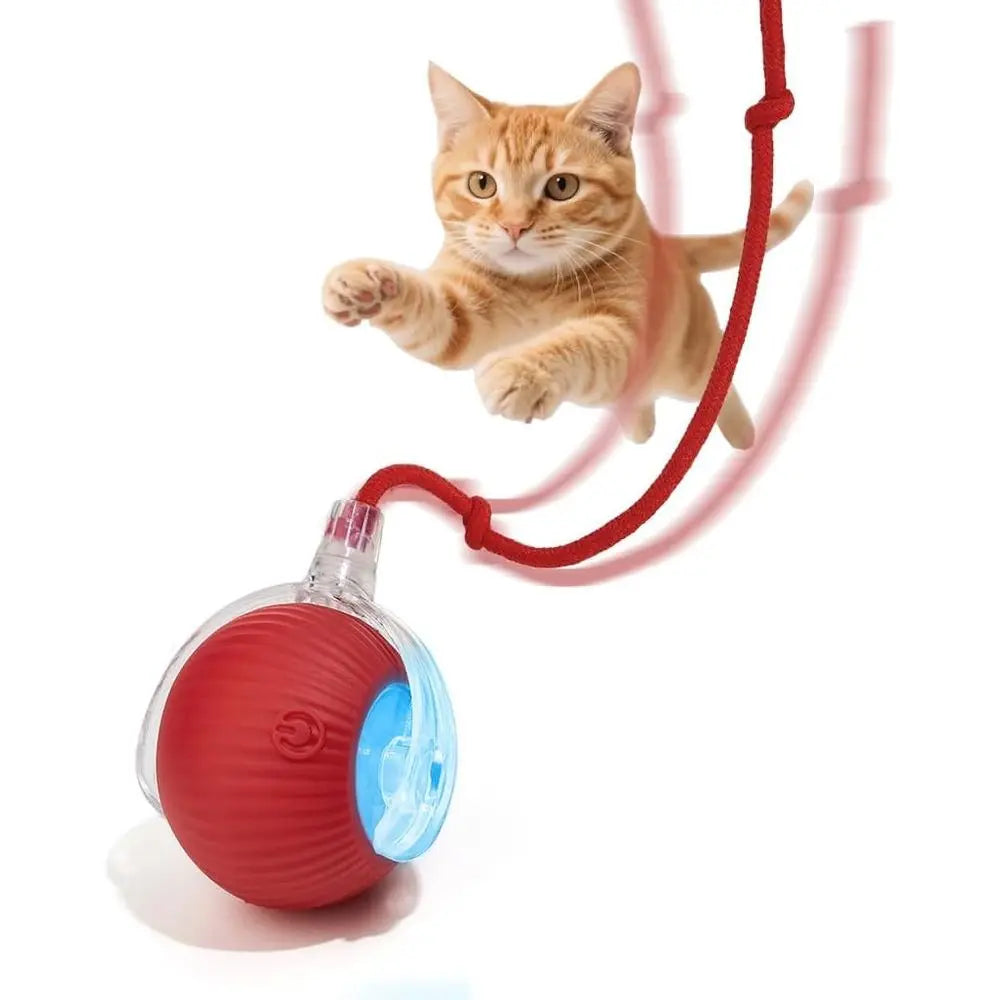 Interactive Dog Cat Toy Ball, Upgraded Rechargeable Smart Automatic Rolling Pet Ball with Tail, Ast Moving Toy for Bored Indoor