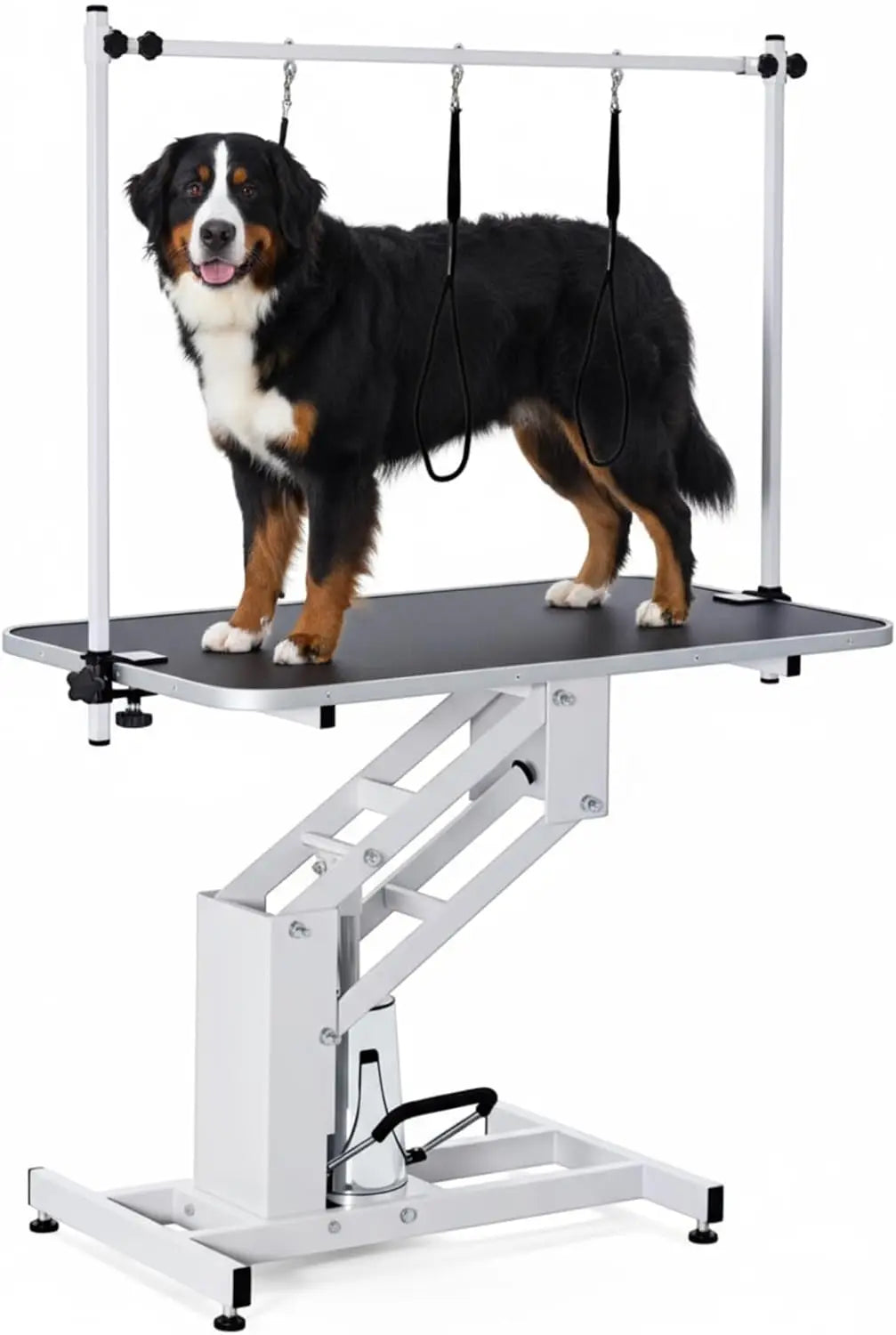 Tacleekii  43.3 in Professional Hydraulic Pet Grooming Table | 350 lbs Max Load, 3 Adjustable Nooses, Height Adjustable 22–39 in