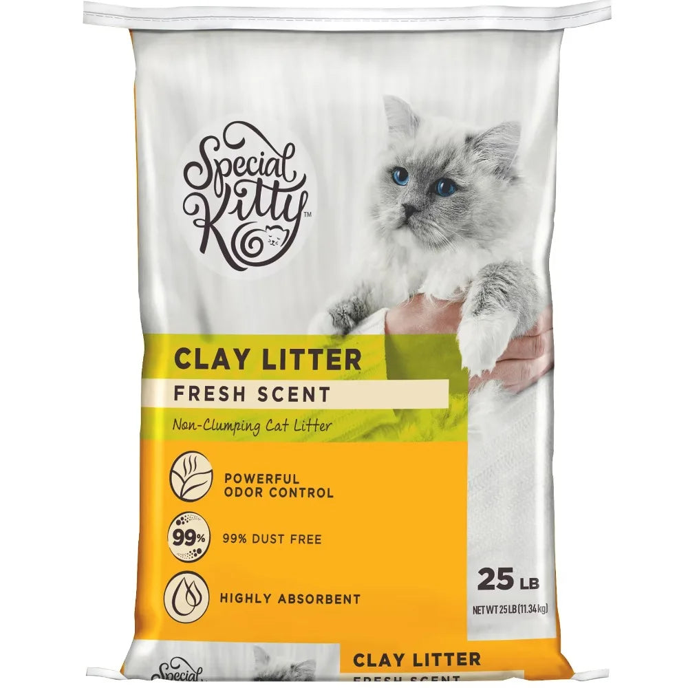 Non-Clumping Clay Cat Litter, Fresh Scent, 25 lb Bag, 1 Count
