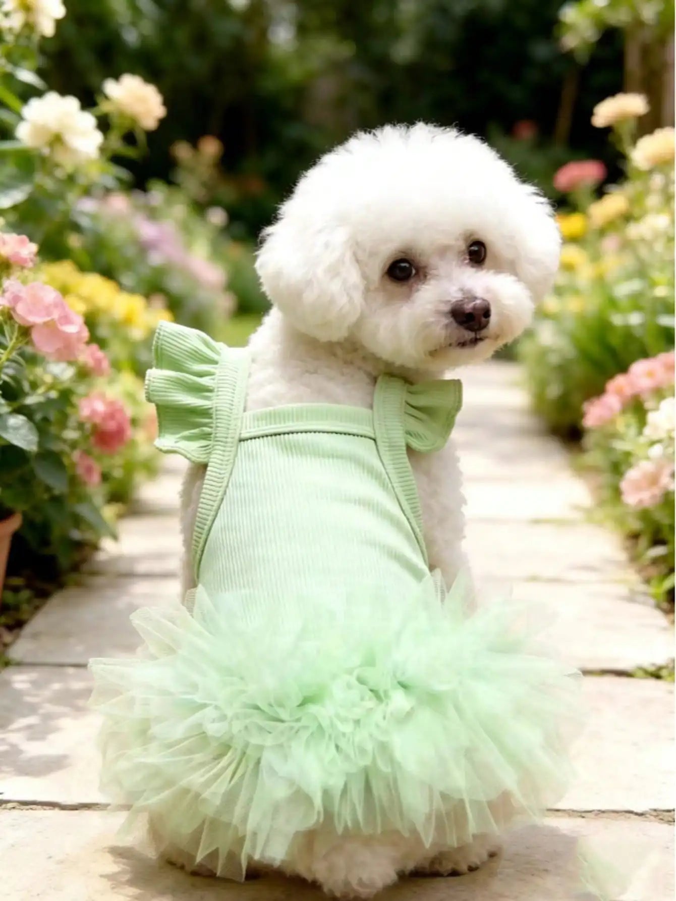 Pet Dog & Cat Ruffled Sleeve Princess Dress, For Small Dogs Like Poodle, Bichon Frise, Pomeranian, Maltese, Yorkshire Terrier Etc., Birthday Party Outfit, Spring/Summer