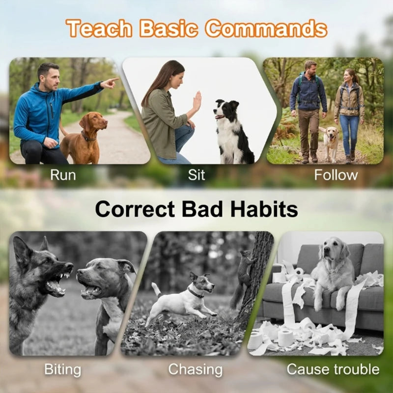 Electric Dog Training Collar Digital Rechargeable Remote Control IPX7 Waterproof Vibrator Pet Dog Bark Stop Shock Collar