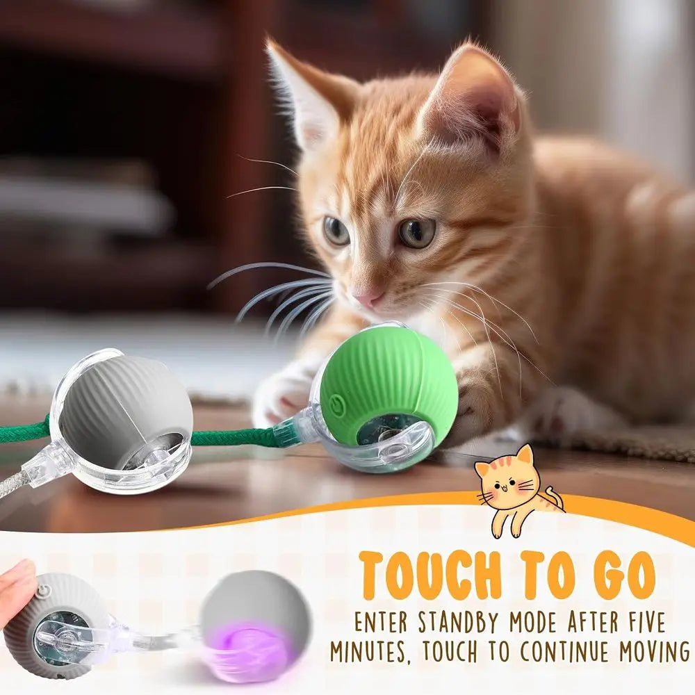 6 Pack Interactive Cat Ball Toy 360° Automatic New Interactive Rolling Ball Rechargeable Gifts for Cat Dog Lovers Indoor Exercis