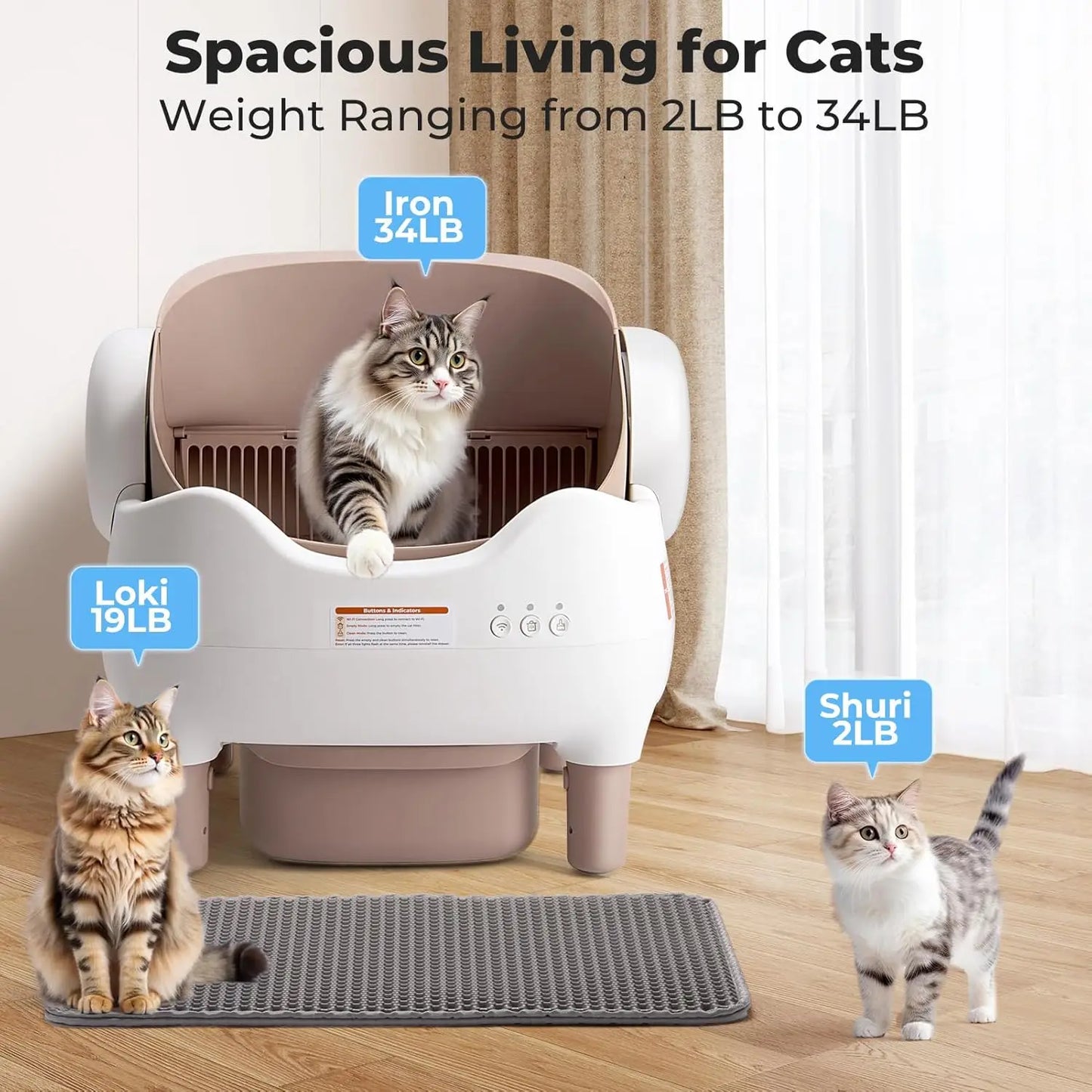 Automatic Litter Box Open Top: Self Cleaning Cat Litter Box Smart with WiFi App Control, Extra Large & Safety, Customized