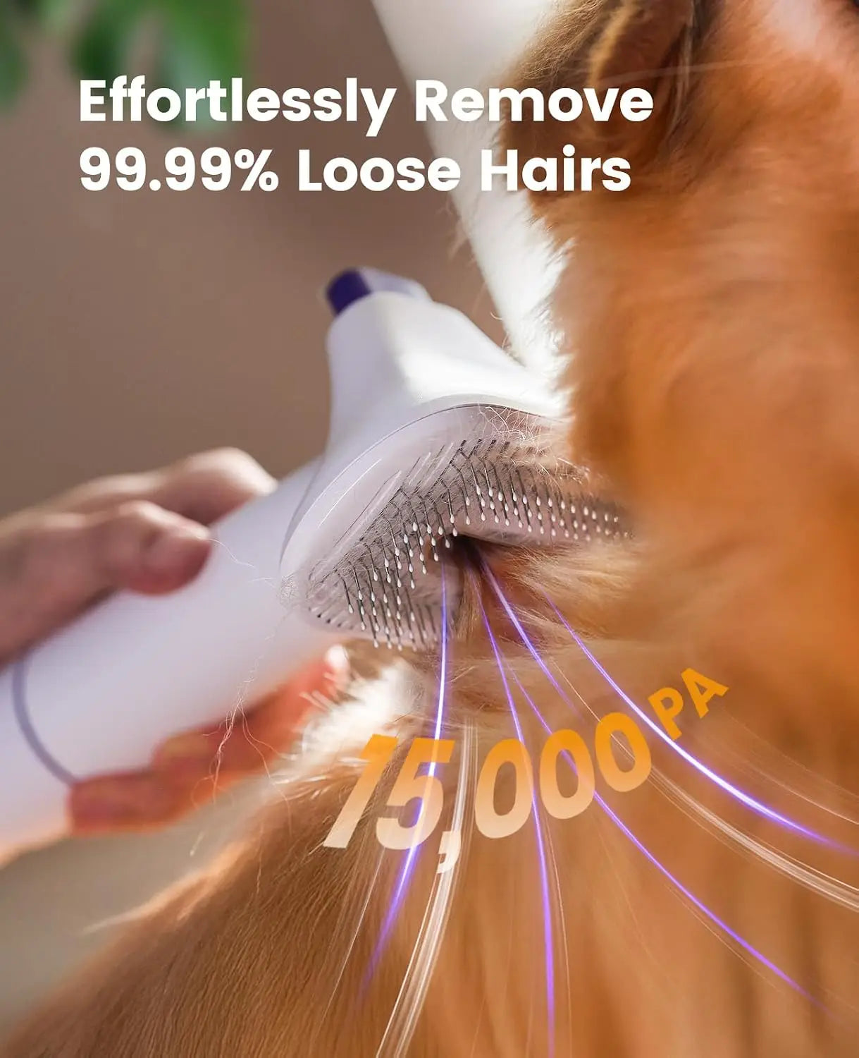 oneisall Dog Hair Vacuum Shedding Grooming Brush Kits for Pet Thick Coats | 15000Pa,3 Suction Low Noise,1.5L Dust Cup,5 in 1 Kit