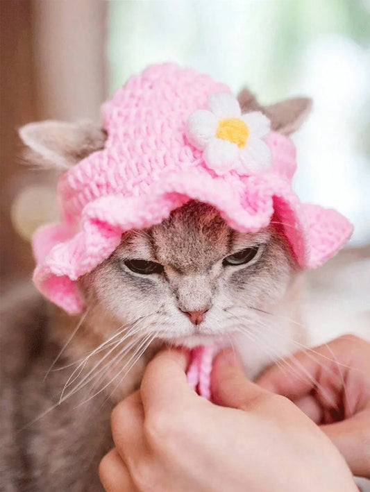 Knitted Pet Hat with Floral Trim for Cats and Small Dogs