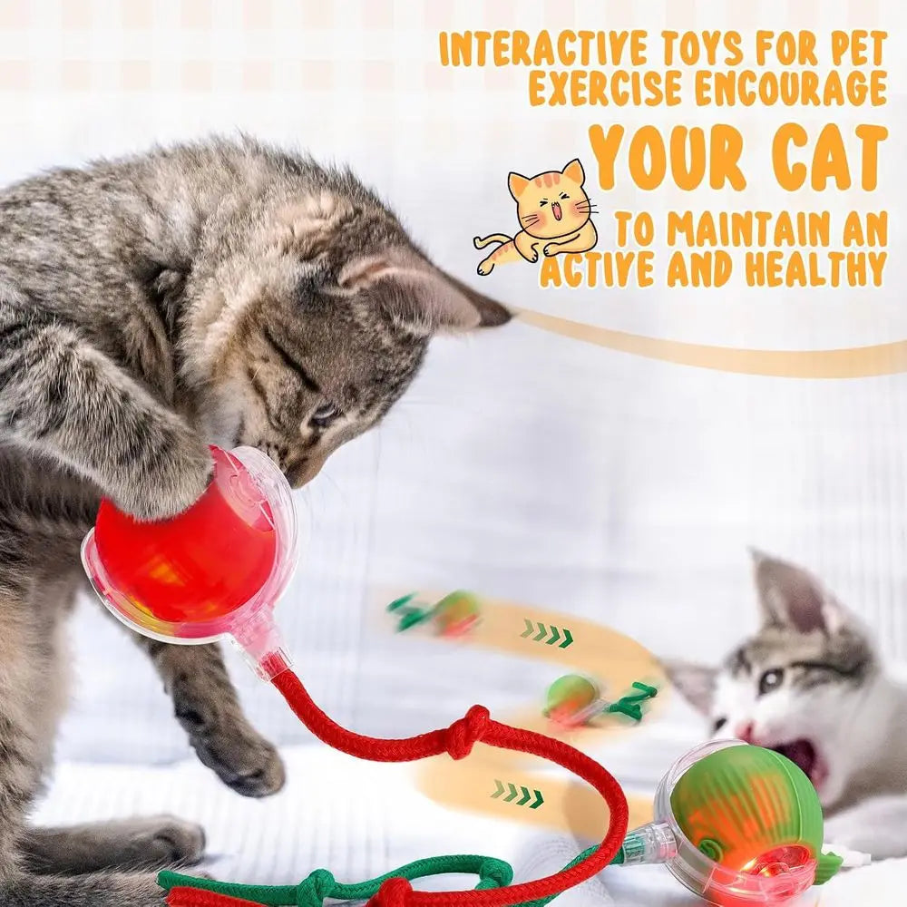 6 Pack Interactive Cat Ball Toy 360° Automatic New Interactive Rolling Ball Rechargeable Gifts for Cat Dog Lovers Indoor Exercis