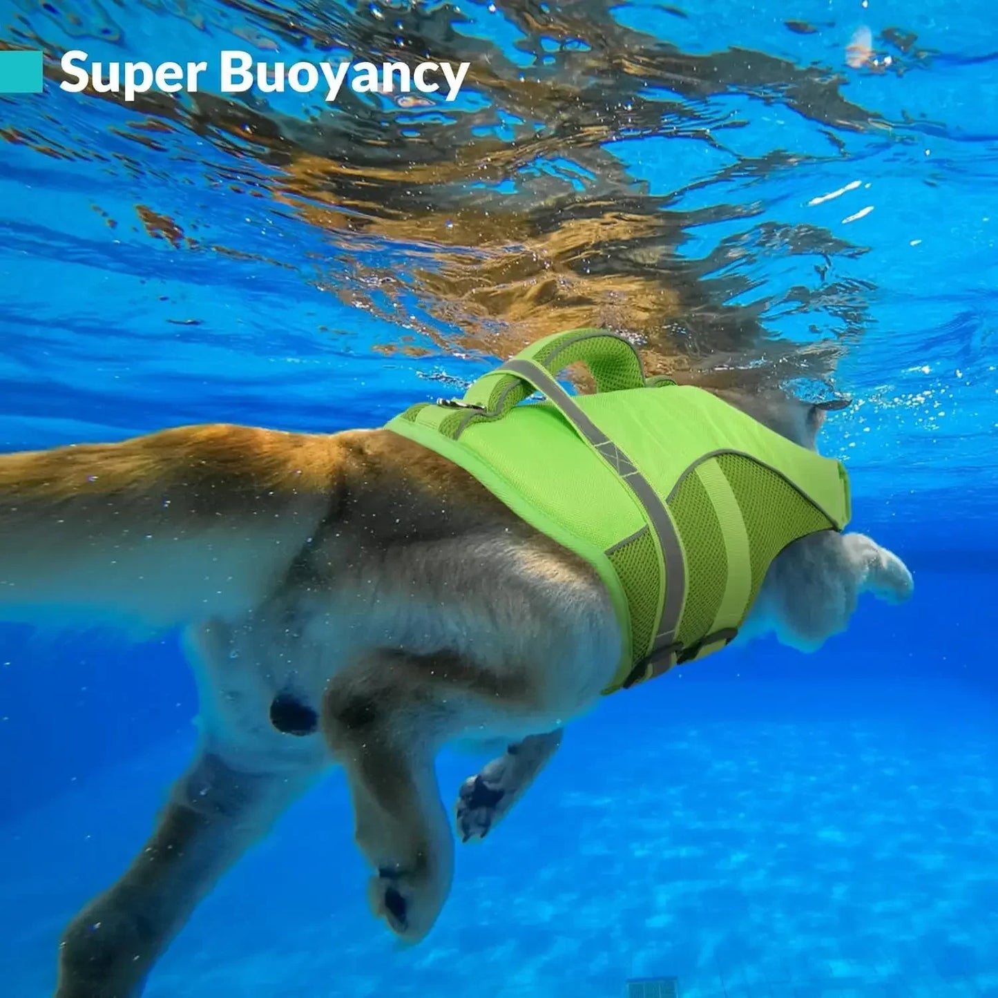 Durable Mesh Dog Life Jacket Tear-Resistant High Buoyancy Pet Vest with Ergonomics Rescue Handle Reflective--Rough water Boating
