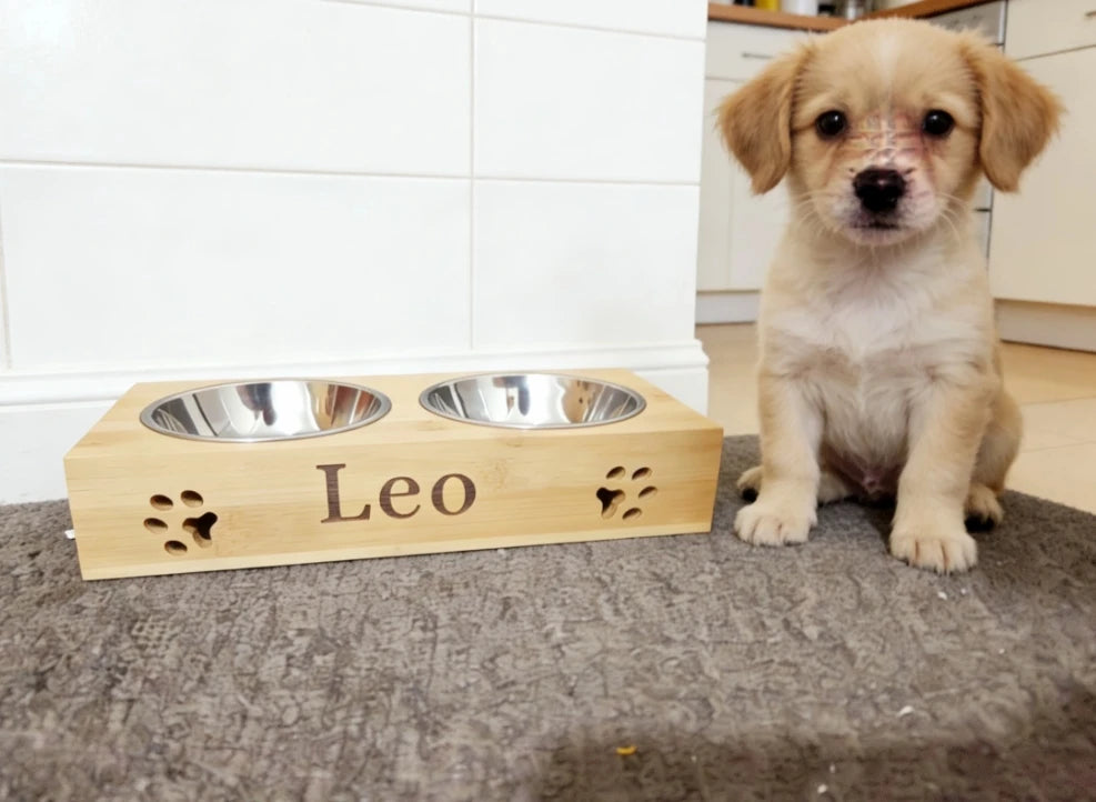 Personalized Pet Bowl Engraved Small Dog Bowls Engraved Pet Bowl Custom Wood Dog Bowl Stand Pet lover Gift Puppy Gift