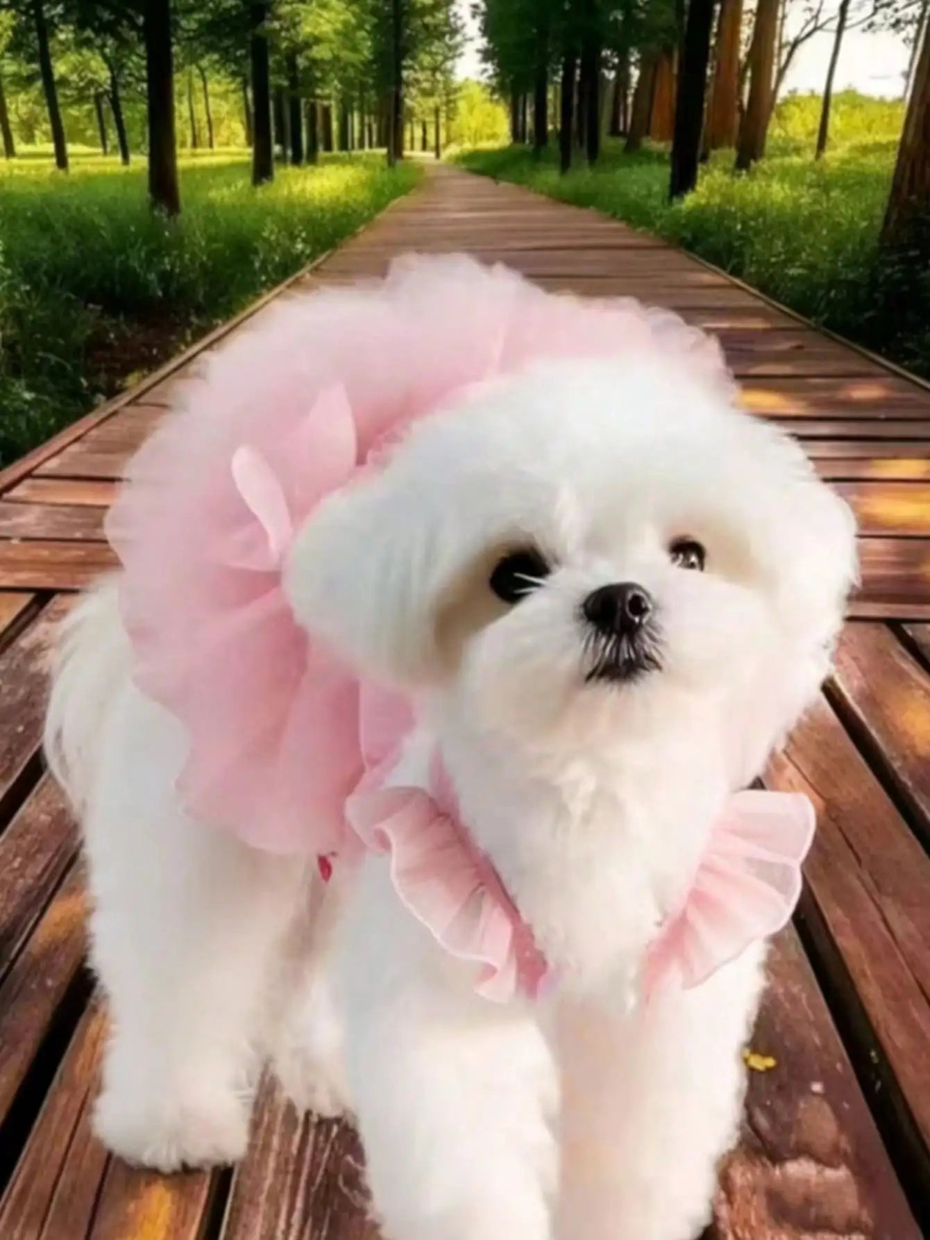 Pet Dog & Cat Ruffled Sleeve Princess Dress, For Small Dogs Like Poodle, Bichon Frise, Pomeranian, Maltese, Yorkshire Terrier Etc., Birthday Party Outfit, Spring/Summer